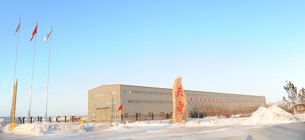 Company Profile