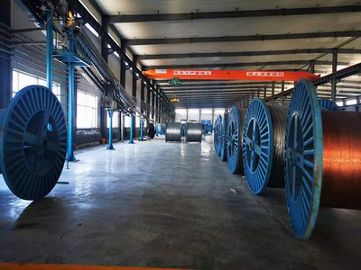 Sheathed cable 150mm